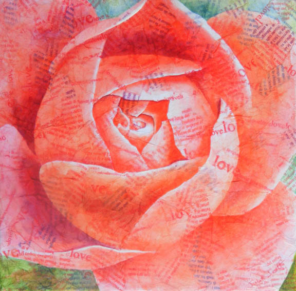 The Rose from The Rows